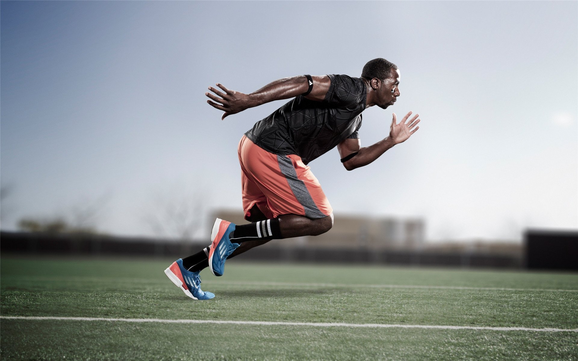 乐鱼体育平台官网-《全景赛场直播：360度观看沉浸体验》，全景直播解决方案